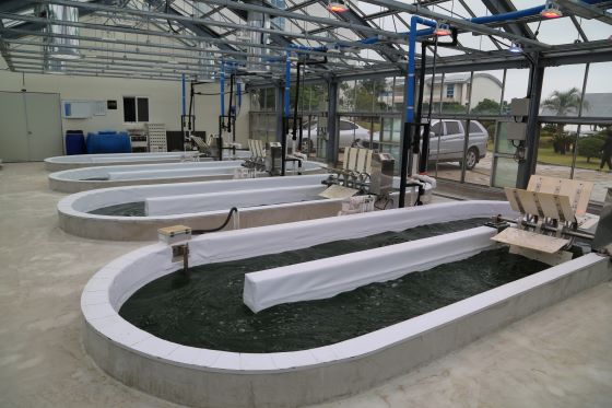 [청정 자연의 보고 제주, 바이오산업 메카 도전] (하) 해양바이오산업 육성 대표 이미지