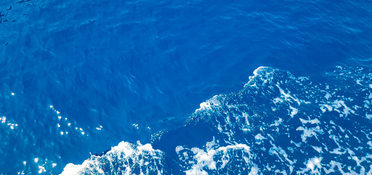 블루 지중해 파트너십, 지속 가능한 블루 이코노미 지원 강화 대표 이미지