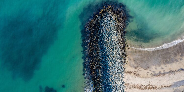유럽의 블루 바이오 경제가 약속을 지킬 수 있을까? 대표 이미지
