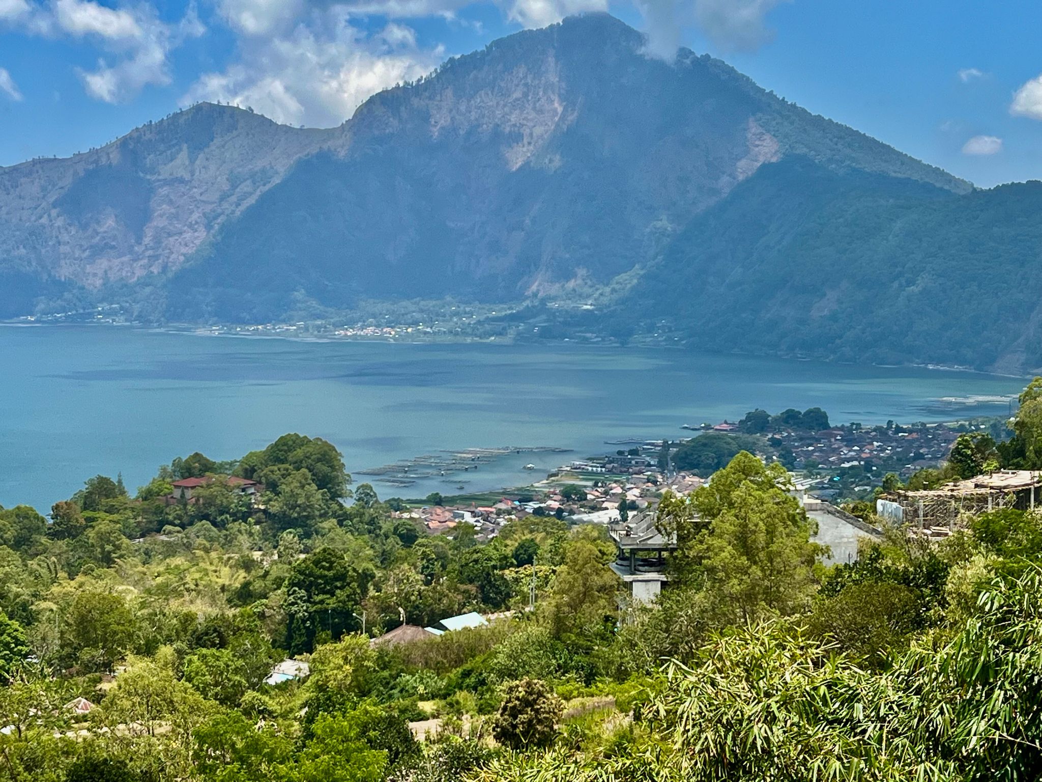 블루카본 액셀러레이터 펀드는 최신 "준비성"의 챔피언이 제안을 요청함에 따라 4개의 선구적인 프로젝트를 발표한다 대표 이미지
