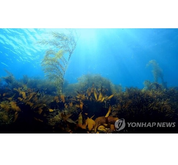 “해양환경부터 탄소중립까지”...바다 잠재력, 해양바이오로 끌어올린다 대표 이미지