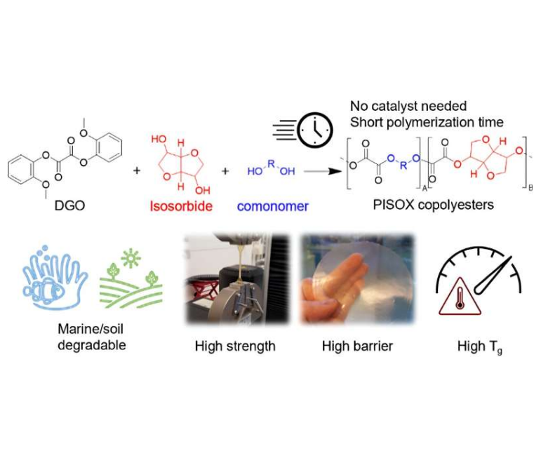 해양 분해성, 바이오 및 CO2 기반 PISOX 폴리머를 위한 흥미로운 응용 분야 대표 이미지