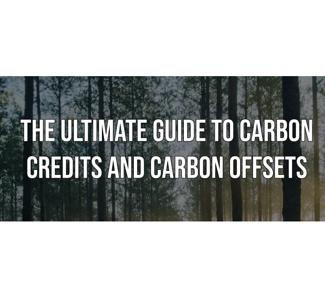 탄소 배출권 이해를 위한 궁극적인 가이드 대표 이미지