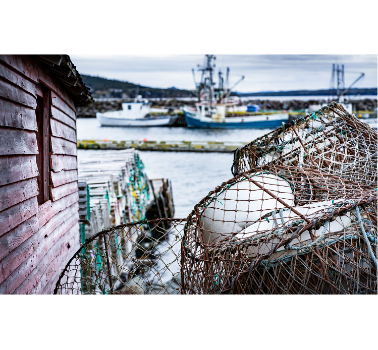 '캐나다 정부, 국가 블루 경제 번영을 위한 로드맵 발표 대표 이미지
