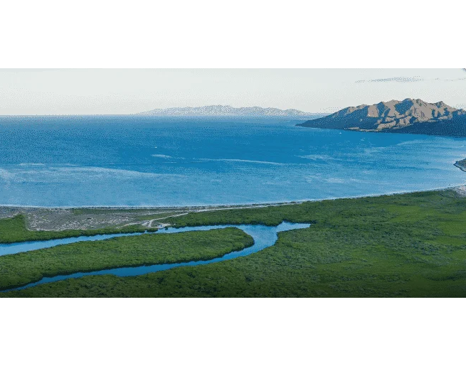 블루 카본 크레딧의 중요성 대표 이미지