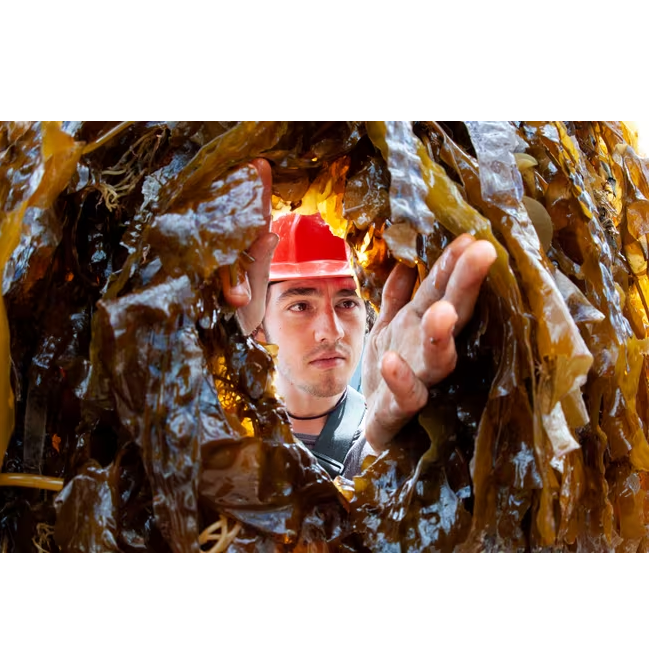 유럽연합 집행위원회, 블루 이코노미 자금 지원 제안 촉구 대표 이미지