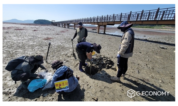 '신안 갯벌, '블루카본의 보물창고로' 탄소저장 56조 원의 가치 확인 대표 이미지