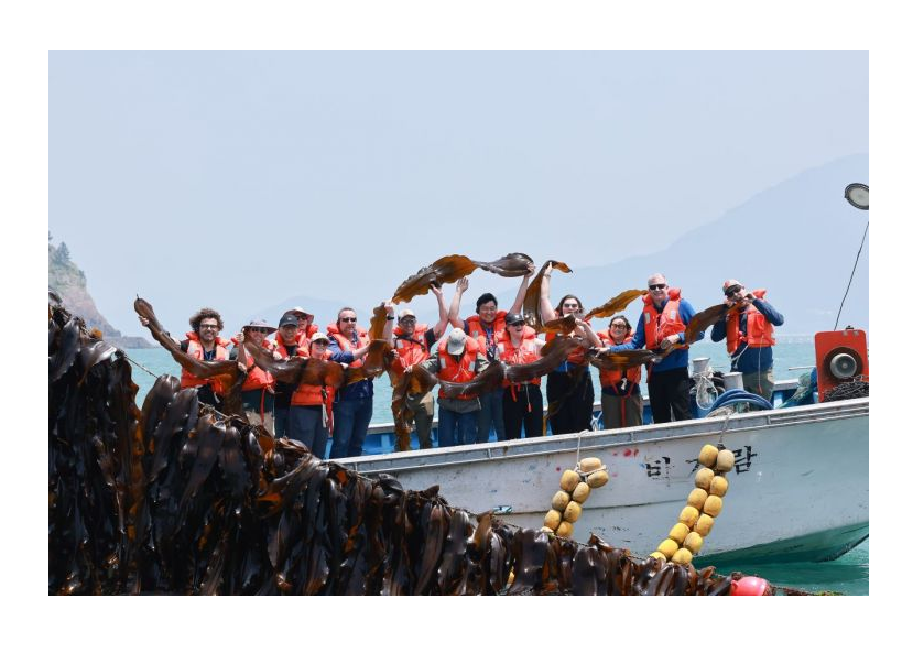 완도 해조류 산업, WWF 관계자 등 '현장 견학' 대표 이미지