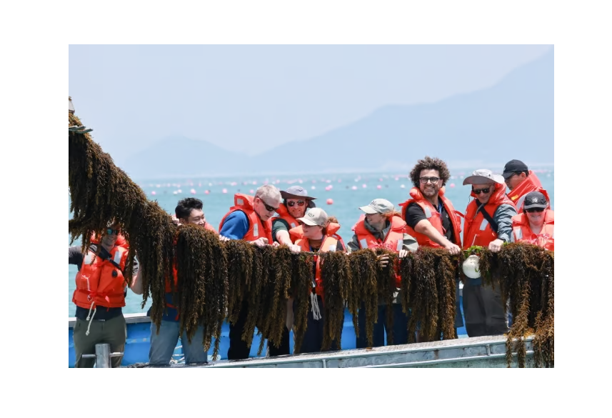 완도군, 해조류 해양바이오산업 미래 먹거리로 육성 박차 대표 이미지