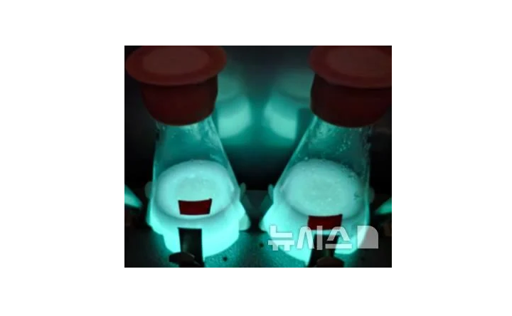 해양생물자원관, 발광박테리아 수질감시장치 기술 민간 이전 대표 이미지