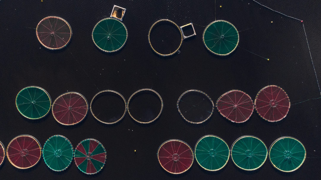 EU strategy opens new opportunities for marine biotechnology in the Blue Revolution 대표 이미지