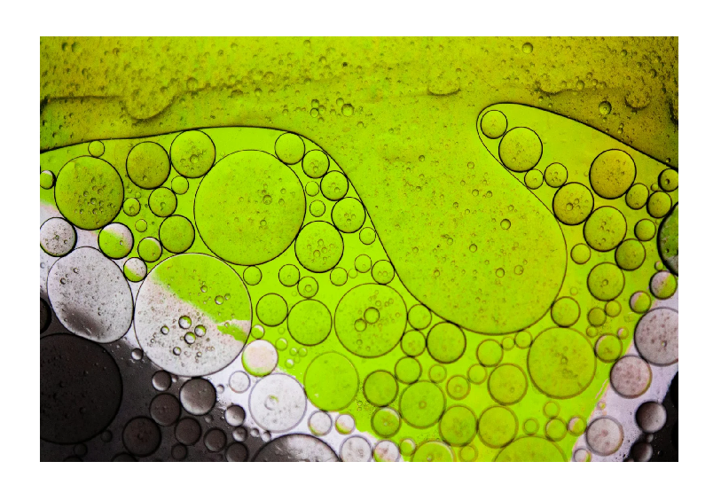 Marine Biologics Partners with Molecular Quantum Solutions to Accelerate Next-Generation Biomaterials Development 대표 이미지