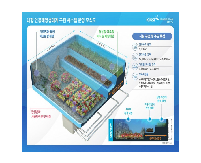 제주에 세계 최대 '바다실험실'…기후변화에 신음하는 생물 지킨다 대표 이미지