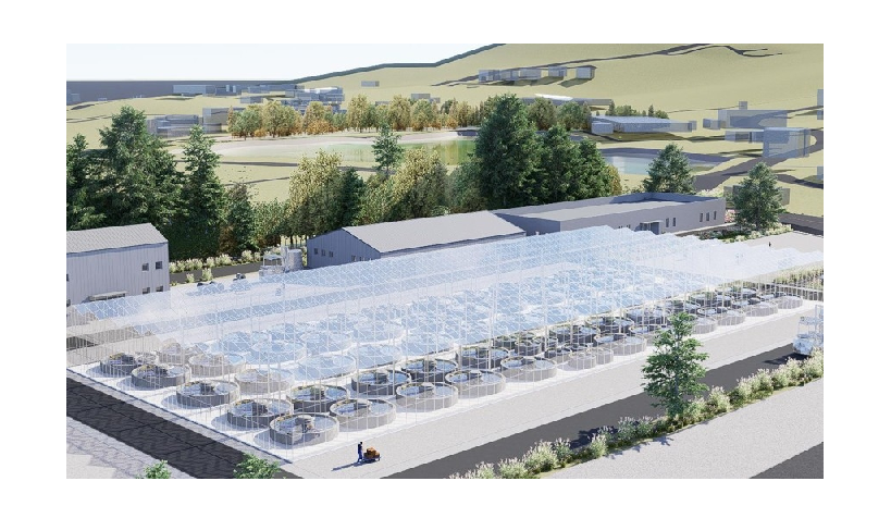 완도군, 해양바이오산업 육성 본격화 대표 이미지