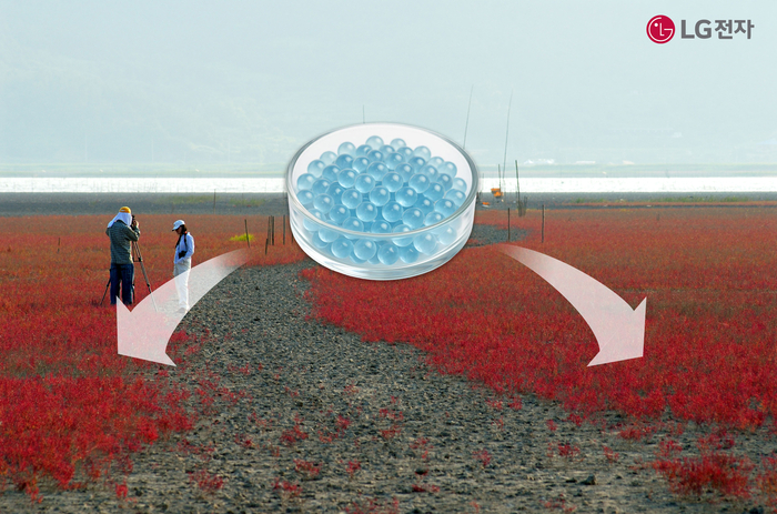 LG전자, '마린 글라스' 기술로 순천만 갯벌 생태계 복원 나선다