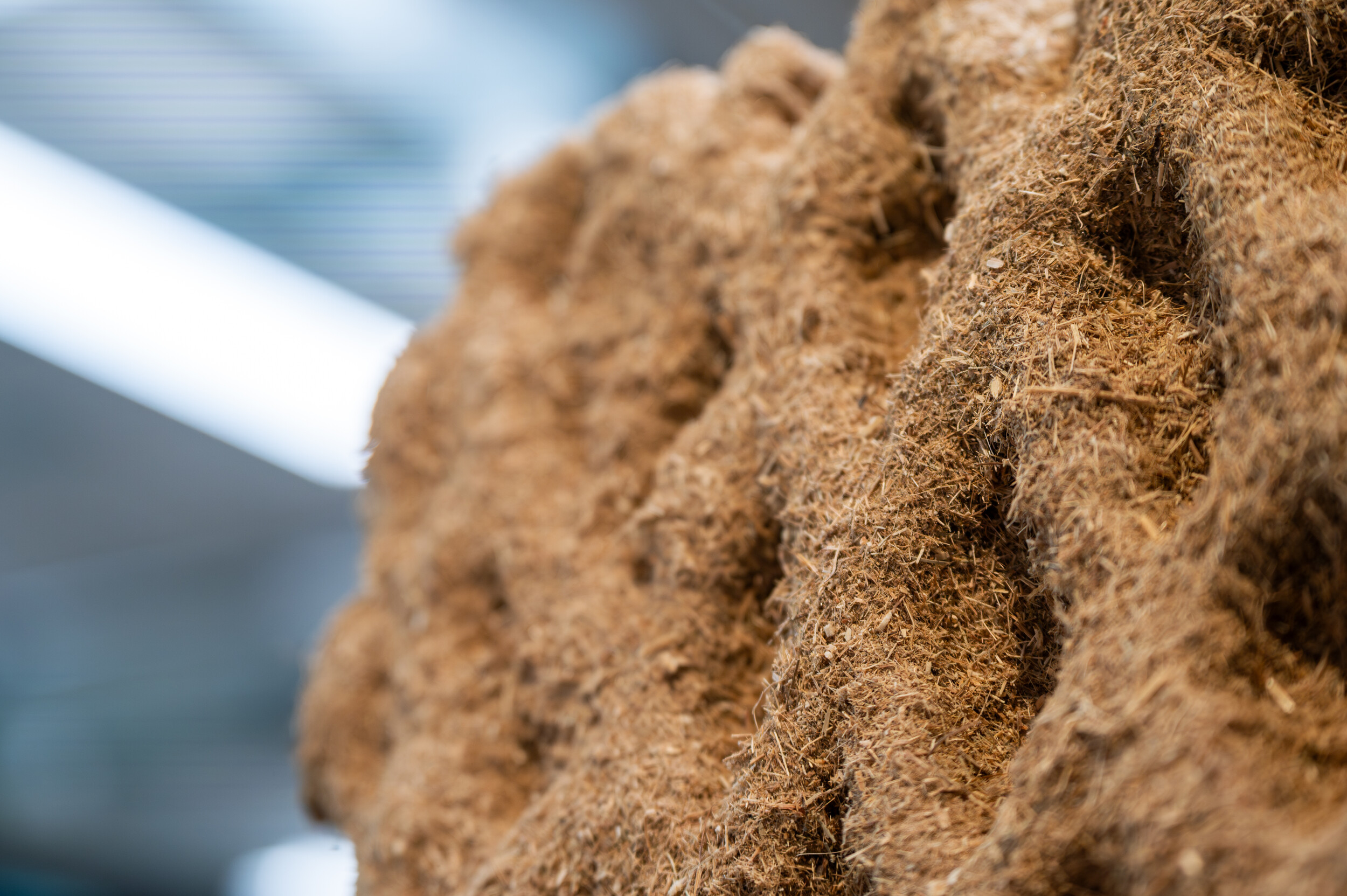 (해양 바이오매스 활용 건축 소재) Blue biomass and green buildings: New effort to explore the potential for using ocean resources as building materials 대표 이미지