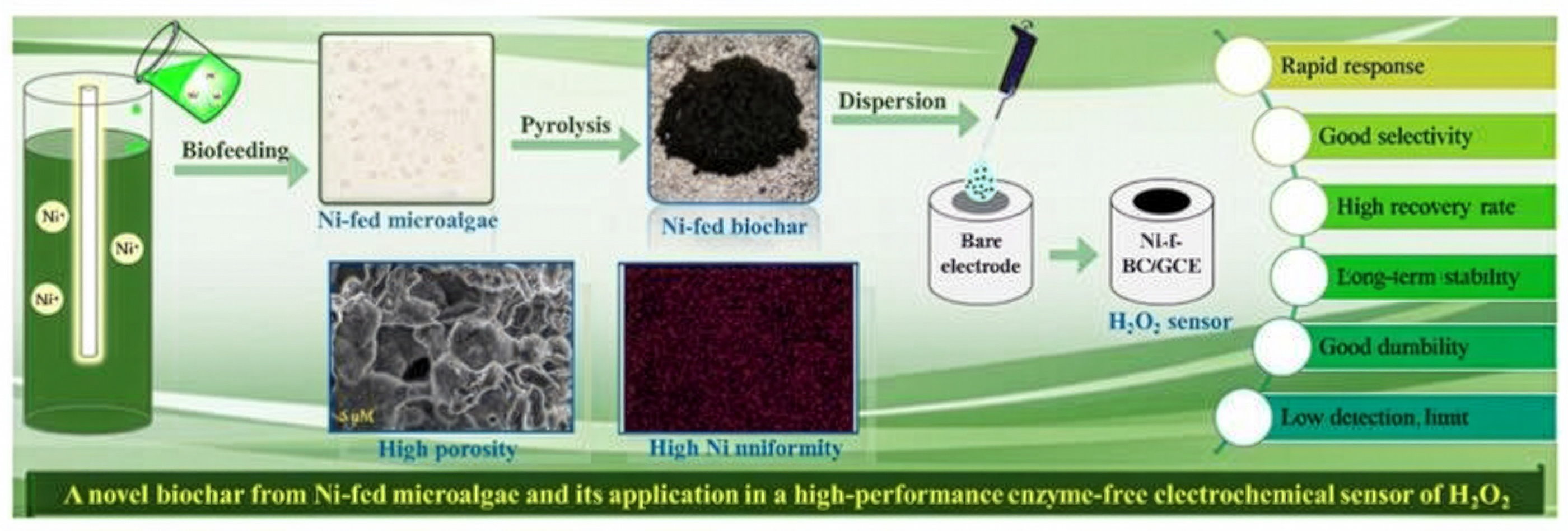 (Biochar (해양생물 유래 탄소) 기반 과산화수소 감지 센서) Microalgae-derived biochar enables fast, low-cost detection of hydrogen peroxide 대표 이미지