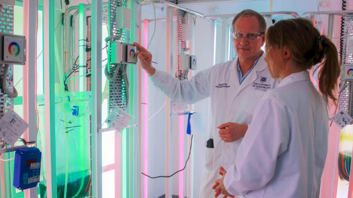 (미세조류 기반 태양광 세포 공장 기술) Miracle at the micro level 대표 이미지