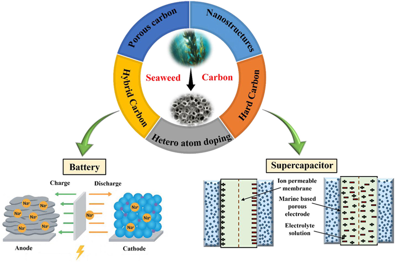 (해조류 유래 에너지 저장용 탄소소재 개발) Recent advances in carbon materials from marine biomass: Toward sustainable energy storage solutions 대표 이미지