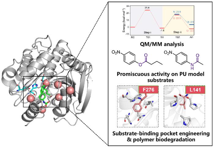 (폴리우레탄(PU) 플라스틱 재활용을 위한 개량 효소 개발) Engineered enzyme breakthrough offers sustainable solution for polyurethane plastic recycling 대표 이미지
