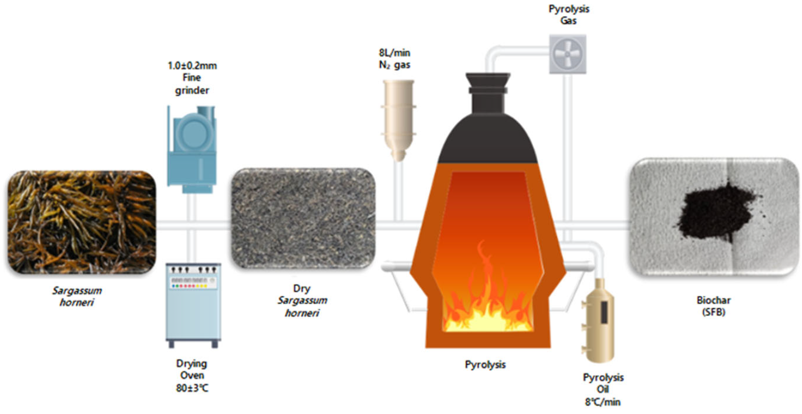 (괭생이모자반 활용 바이오차 기반 친환경 부표 연구) Fabrication of Biochar-Based Marine Buoy Composites from Sargassum horneri: A Case Study in Korea 대표 이미지