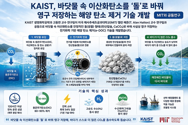 바다 속 이산화탄소 돌로 바꿔 저장...해양 탄소제거 기술개발 대표 이미지
