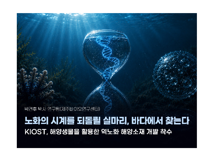 장수 동물은 대부분 바다에 서식…역노화 해양소재 개발 착수 대표 이미지