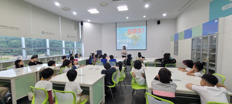 20251002 [SOS! 바다생물을 구해줘]_군산수송초 이미지