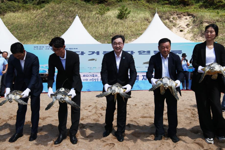 156A3253 이미지