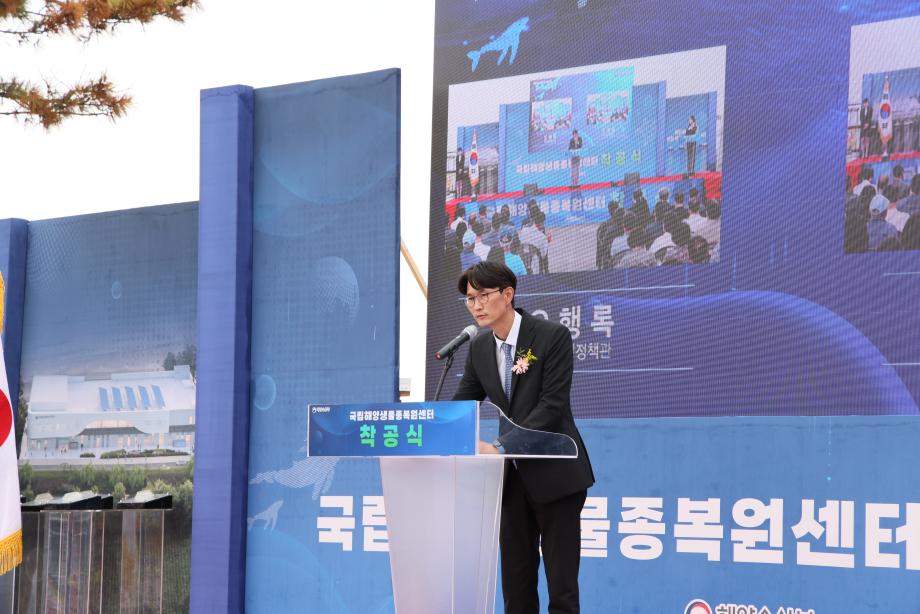 5 이미지