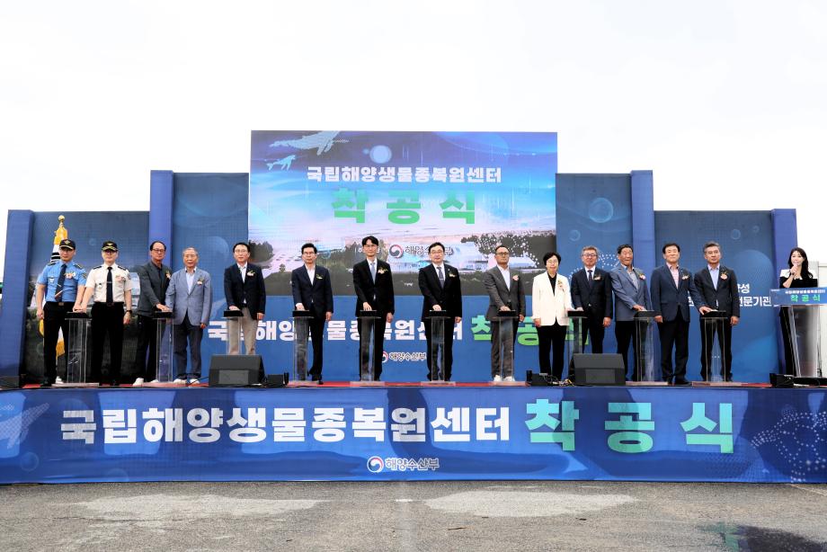 11 이미지