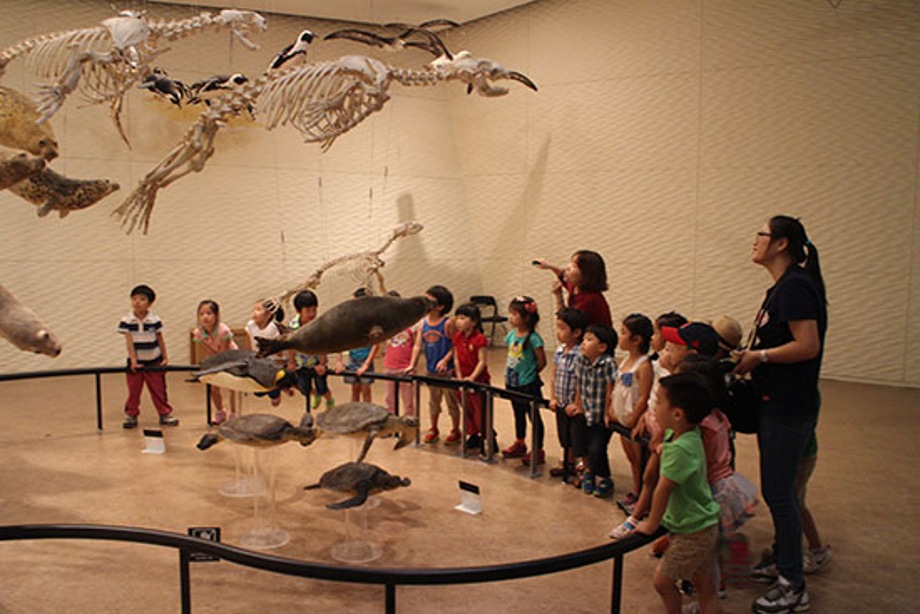 8월 29일 바다 속 내친구를 소개합니다 이미지