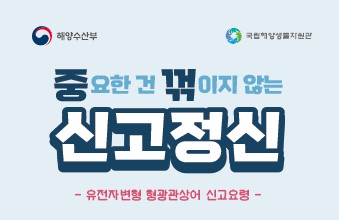 유전자변형 형광관상어 발견시 신고 요령