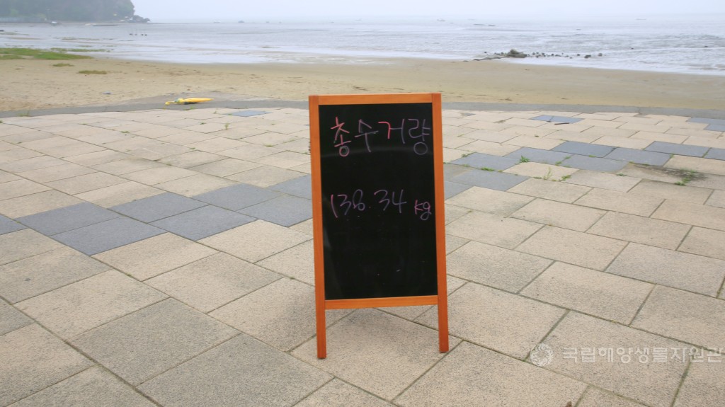 지역사회 유관기관과 함께하는 노사공동 해안정화활동 실시