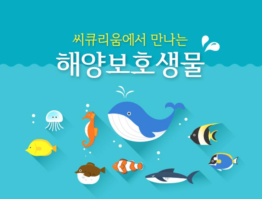 씨큐리움에서 만나는 해양보호생물
