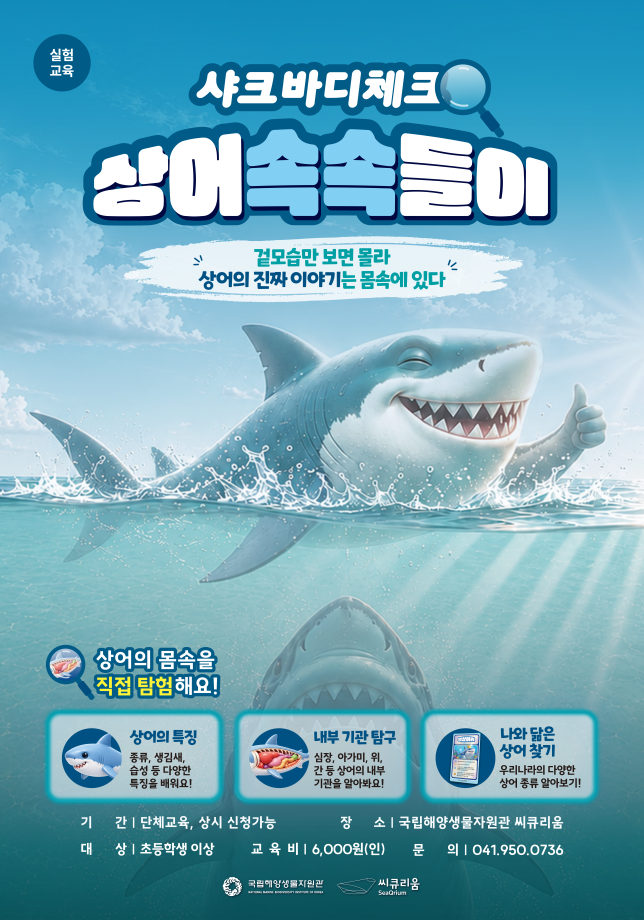 샤크 바디 체크, 상어 속속들이