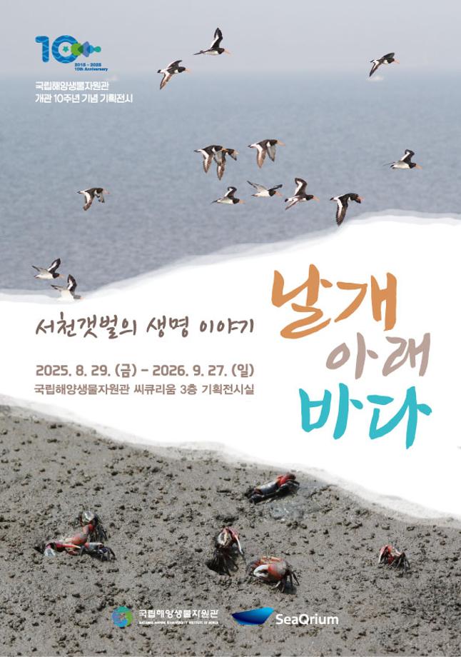 서천갯벌의 생명이야기 : 날개 아래 바다